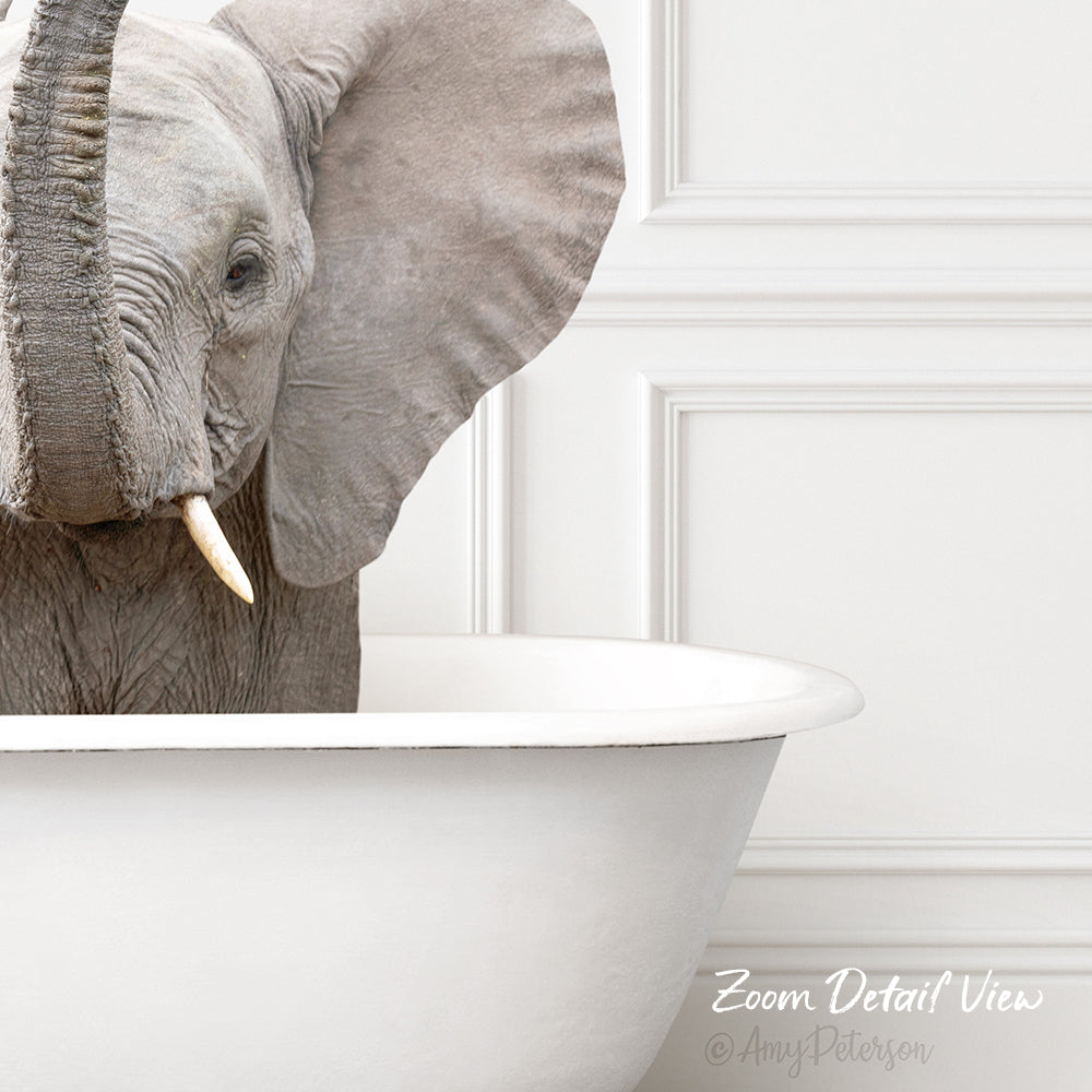 Baby Elephant No5 in Traditional Panel Bath Style