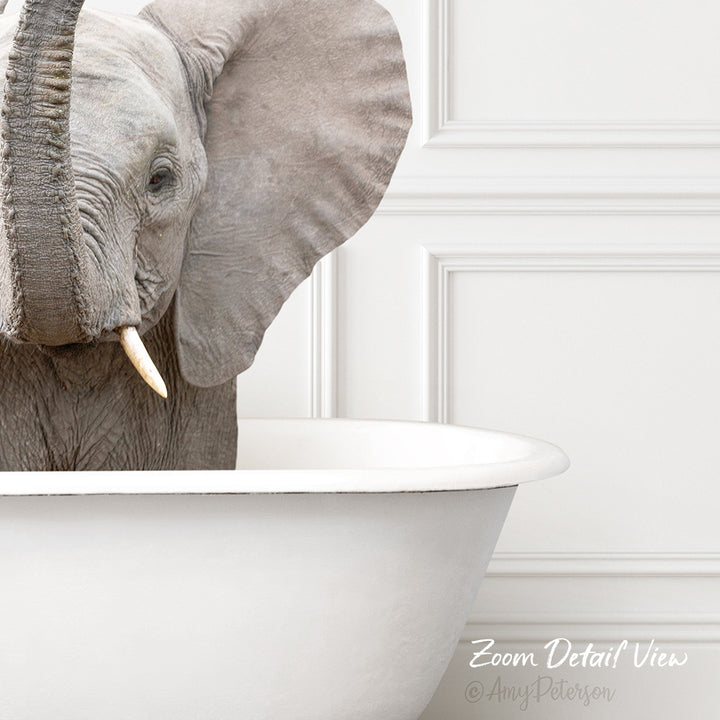 Baby Elephant No5 in Traditional Panel Bath Style