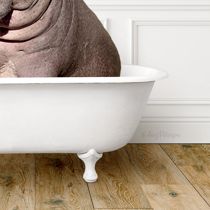 Hippo and Bird in Traditional Panel Bath Style