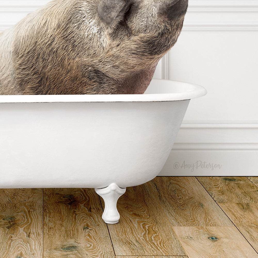 Hog in Traditional Panel Bath Style