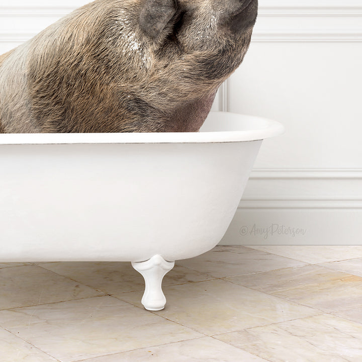 Hog in Modern Bath
