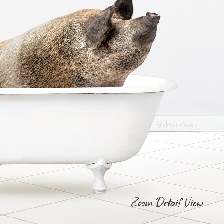 Hog in Neutral Bath