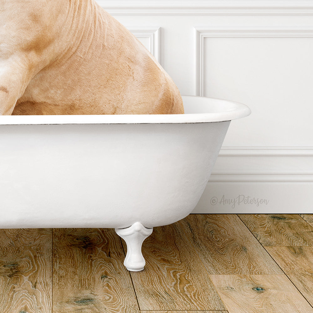 Horse in Traditional Panel Bath Style