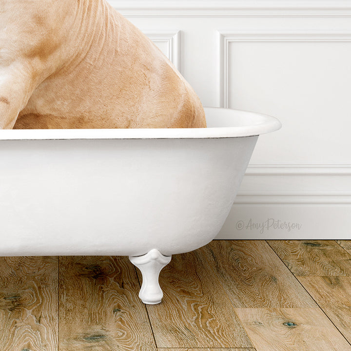 Horse in Traditional Panel Bath Style