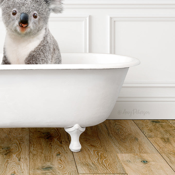 Koala Bear in Traditional Panel Bath Style