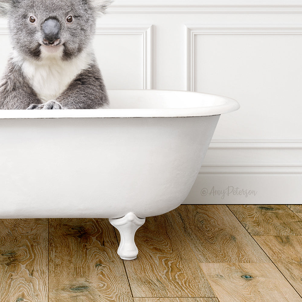 Koala Bear with Folded Paws in Traditional Panel Bath Style