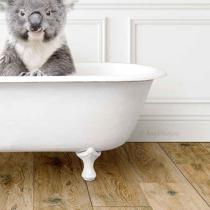 Koala Bear with Folded Paws in Traditional Panel Bath Style