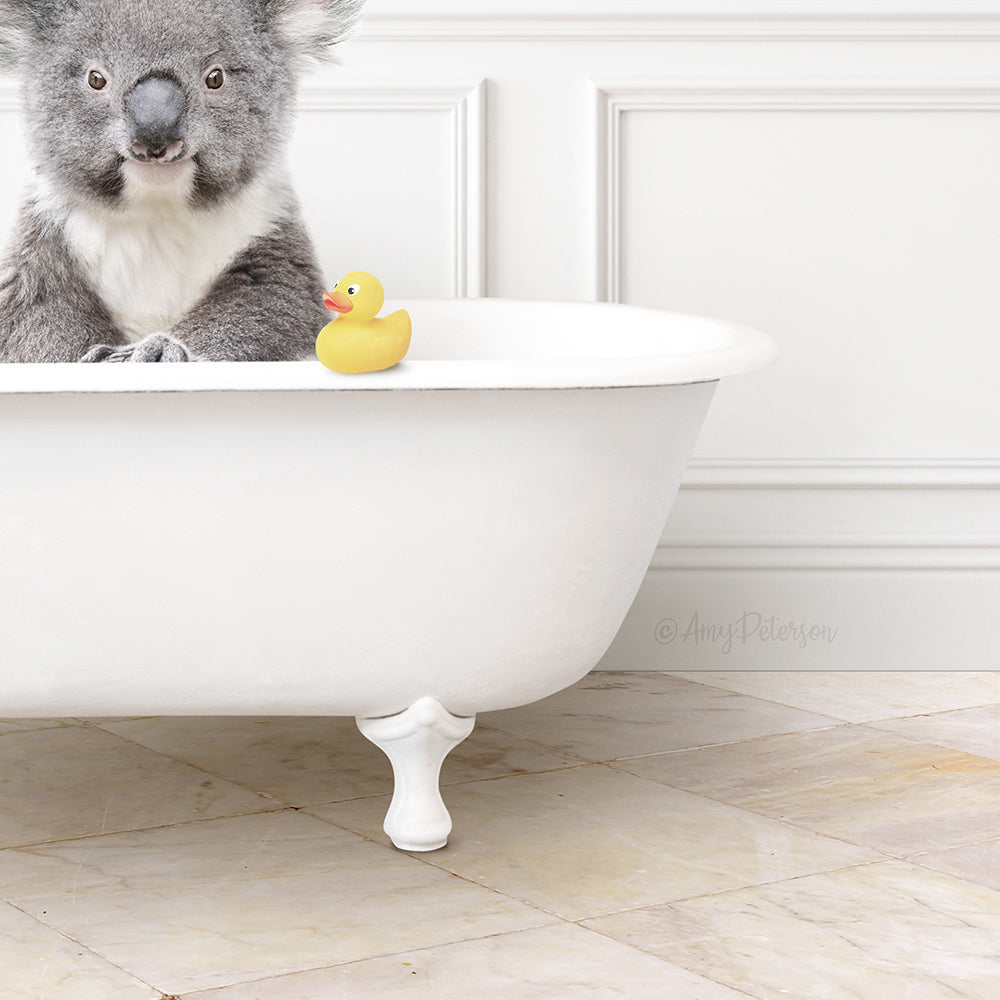 Koala Bear in Modern Bath