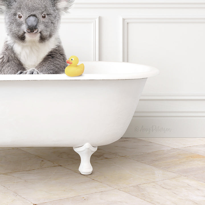 Koala Bear in Modern Bath