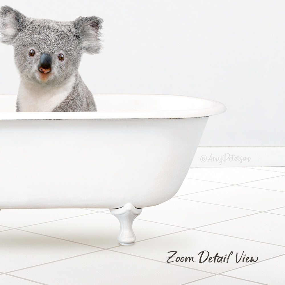 Baby Koala in Neutral Bath