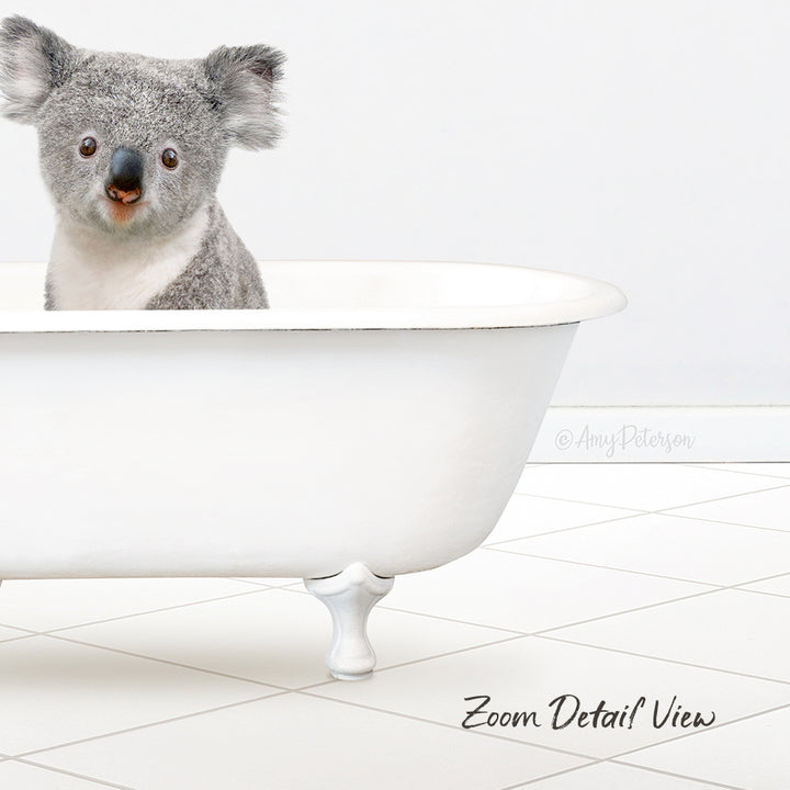 Baby Koala in Neutral Bath