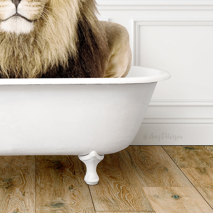 Lion in Traditional Panel Bath Style