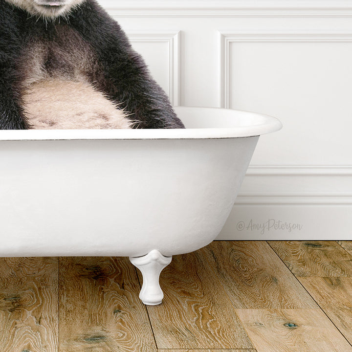 Panda in Traditional Panel Bath Style