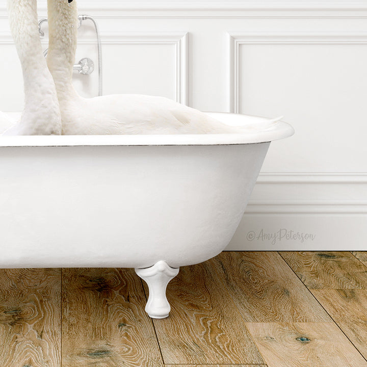 Swans in Traditional Panel Bath Style