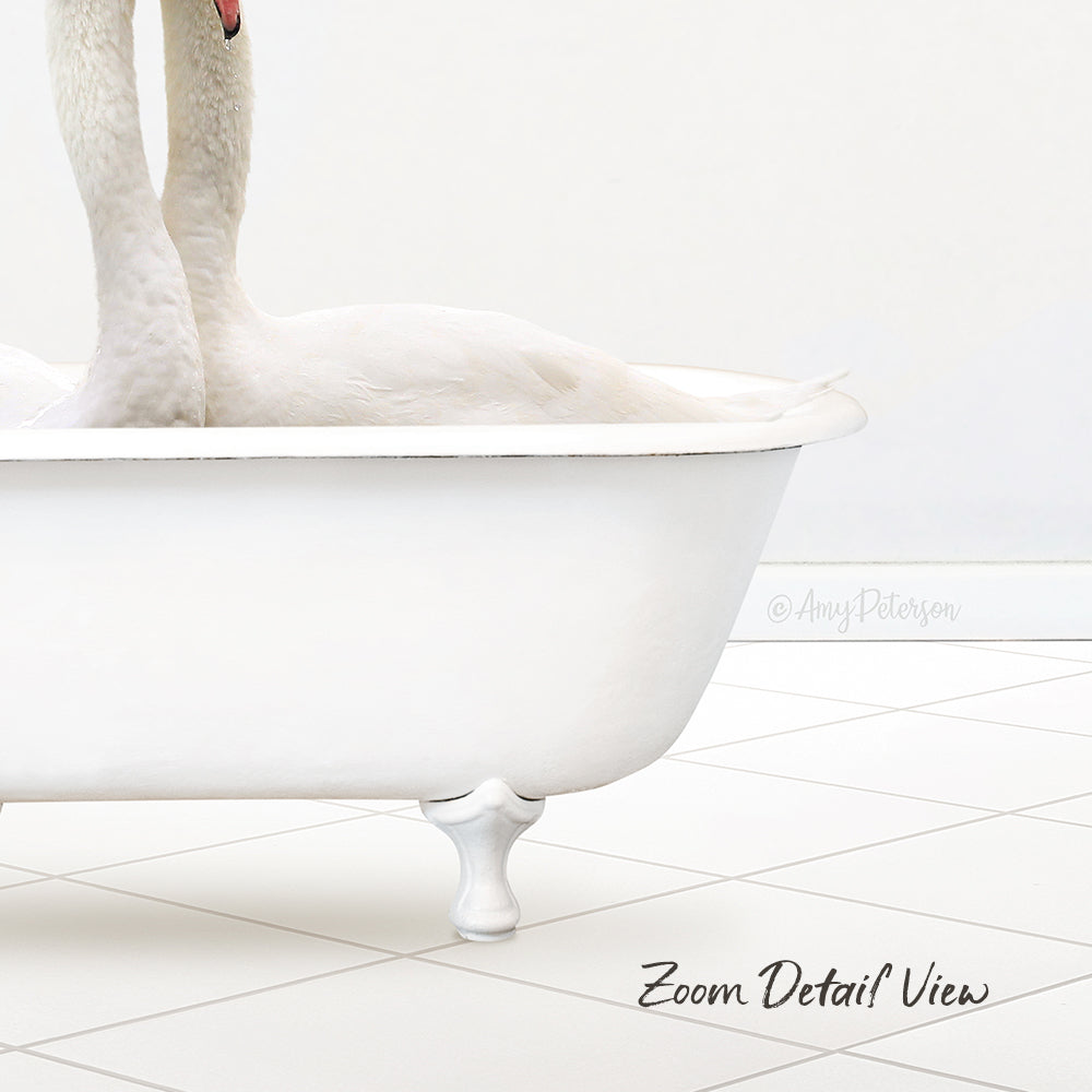 Two Swans Hugging in Neutral Bath