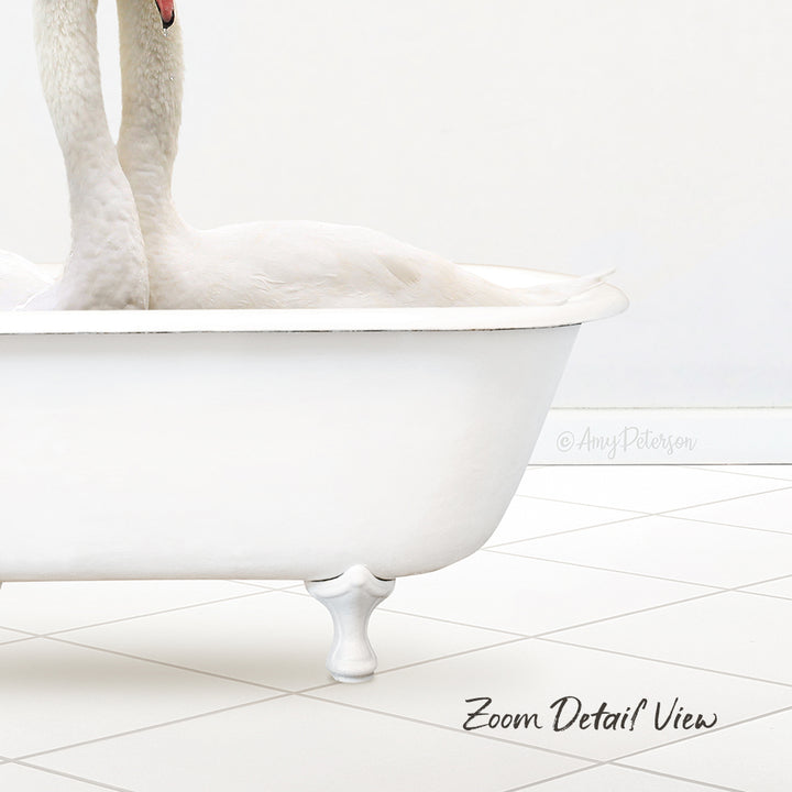 Two Swans Hugging in Neutral Bath