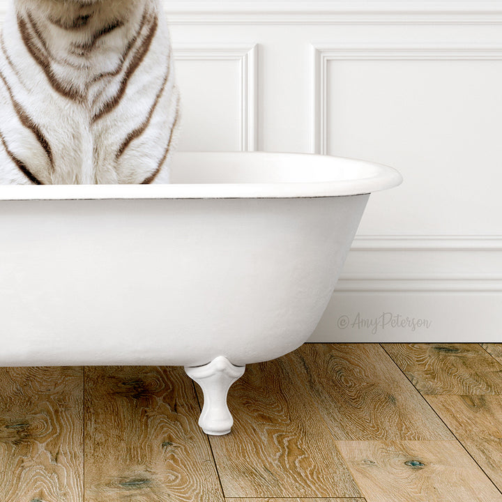 White Tiger in Traditional Panel Bath Style