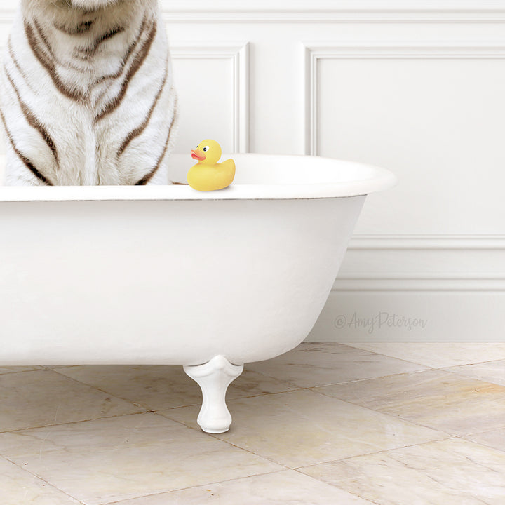 White Tiger in Modern Bath
