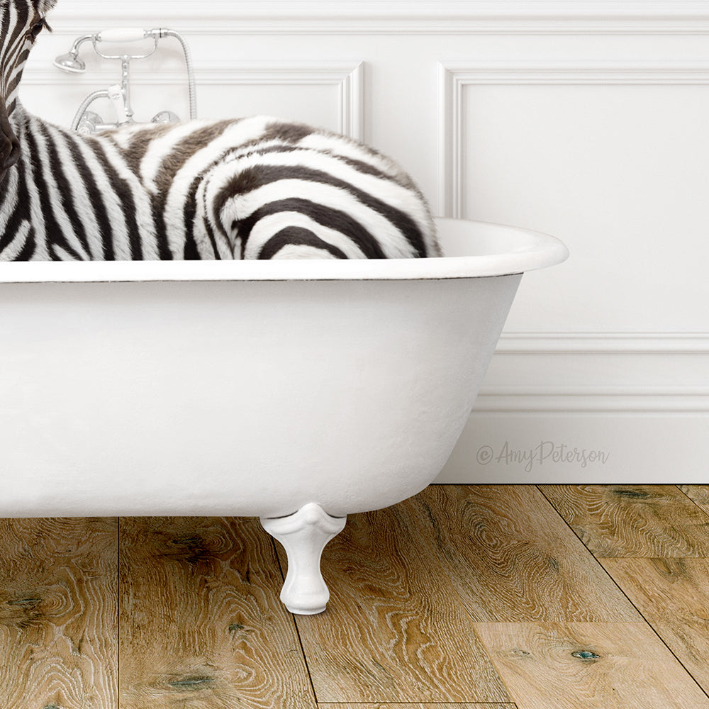 Baby Zebra in Traditional Panel Bath Style