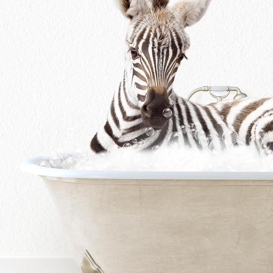 Baby Zebra in Terrazzo Bath