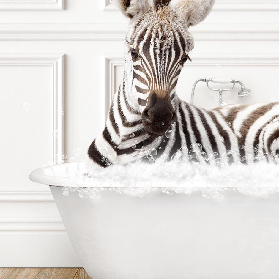 Baby Zebra in Traditional Panel Bath Style