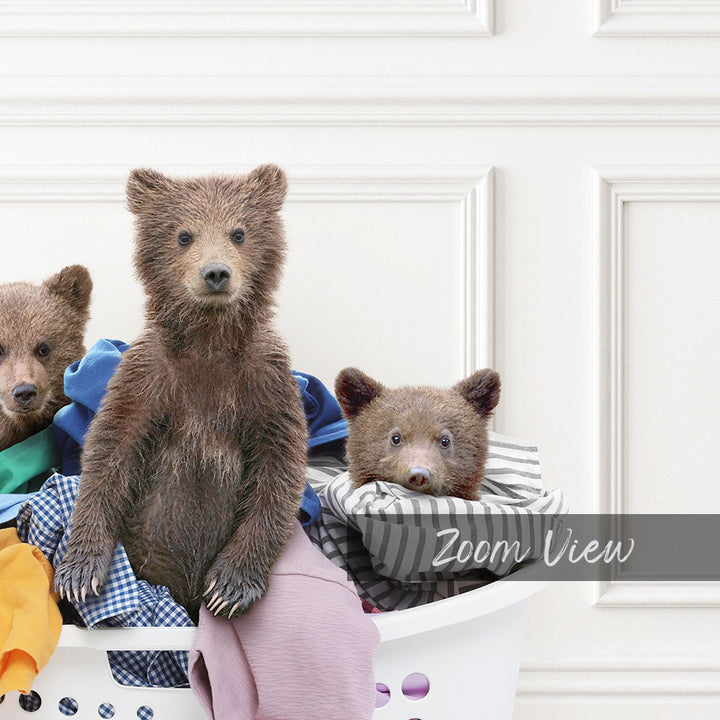 Three Bear Cubs in Laundry Basket - Classic White Floor