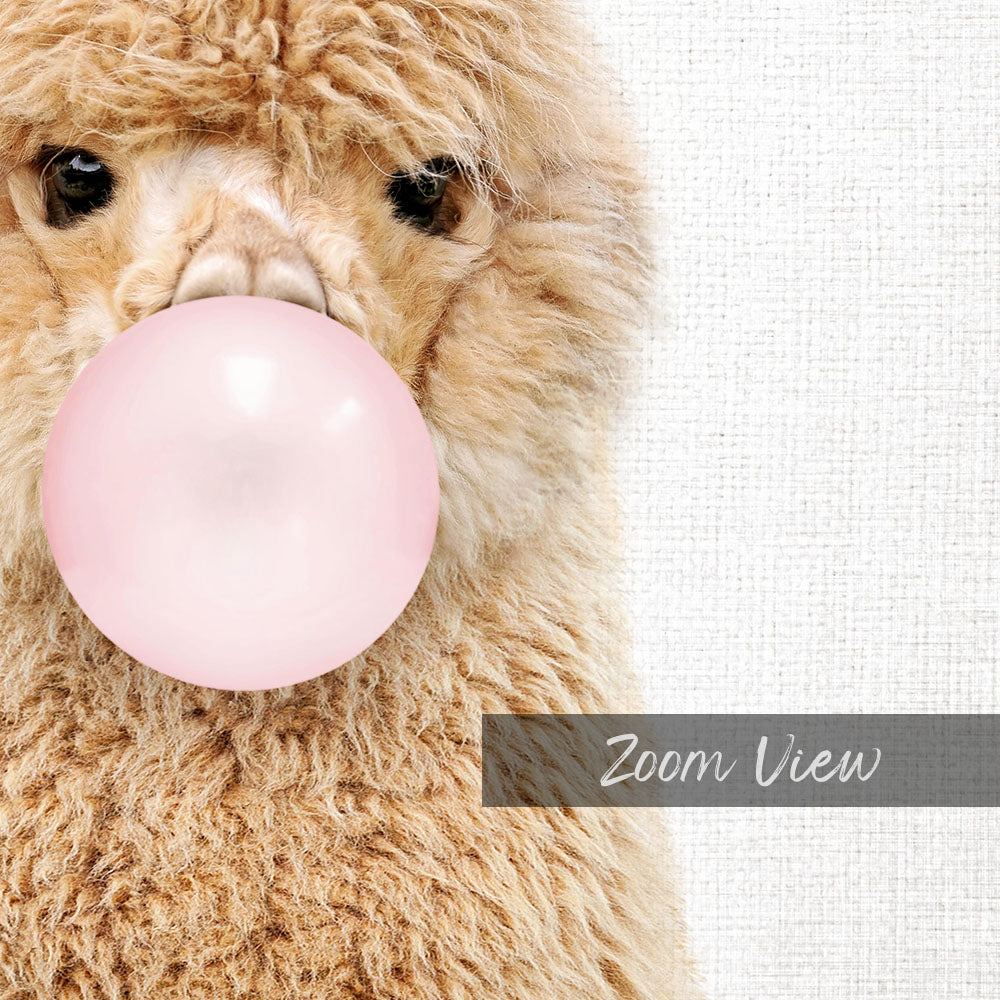 Baby Alpaca Blowing Pink Bubble Gum