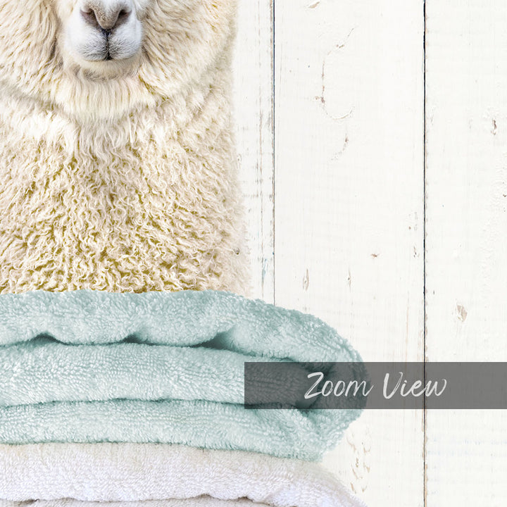 Alpaca on Folded Towels - Farmhouse Wall