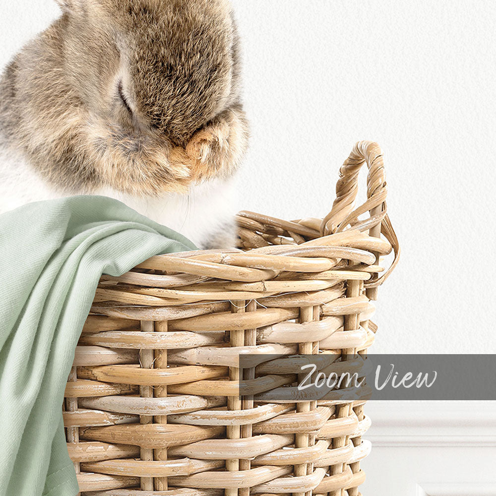Bashful Bunny in Laundry Basket - Simple White Wall