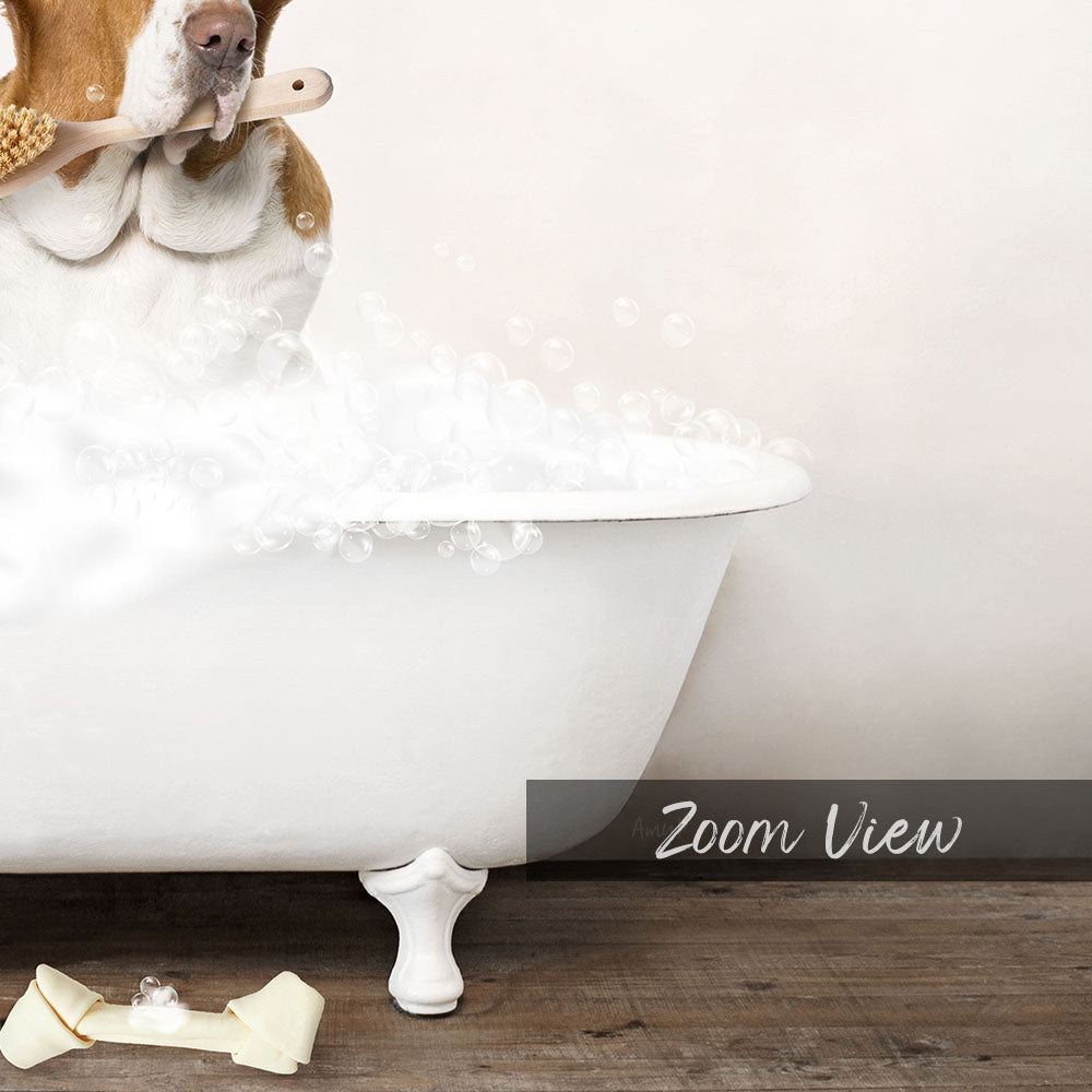 Basset Hound in Rustic Bath Style Lots of Foamy Bubbles
