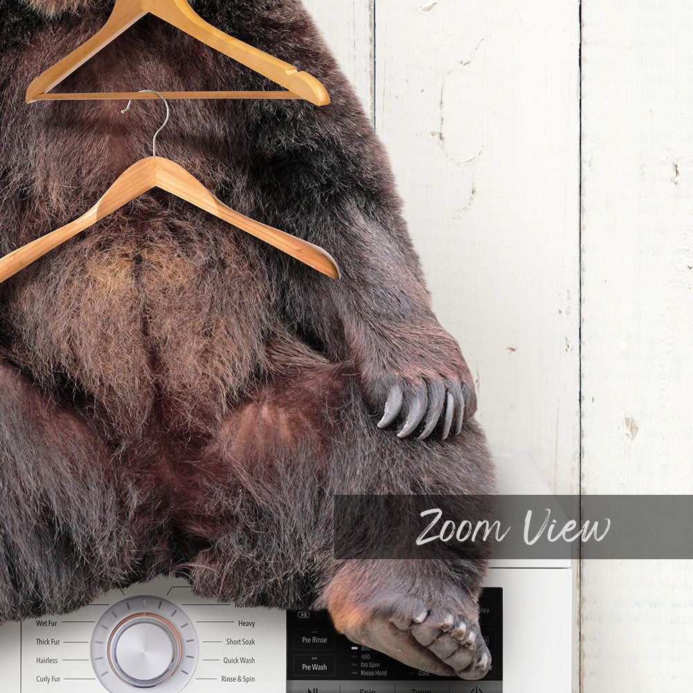 Bear Wearing Clothes Hangers on Washing Machine - Farmhouse Wall