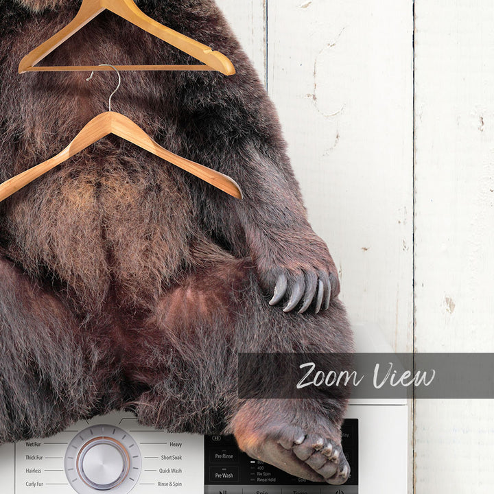 Bear Wearing Clothes Hangers on Washing Machine - Farmhouse Wall