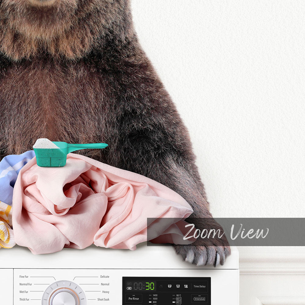 Bear and Snowshoe Hare Doing Laundry - Simple White Wall
