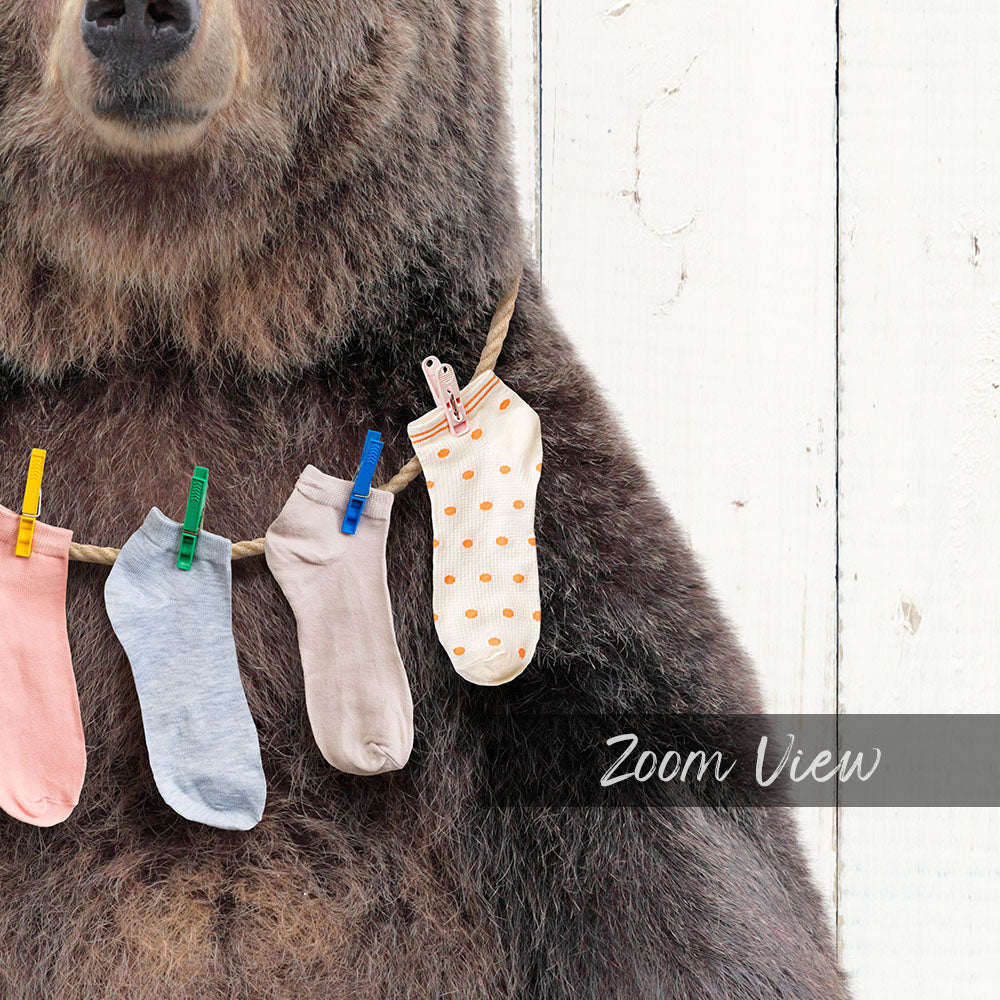 Bear - Lost Socks - Farmhouse Wall