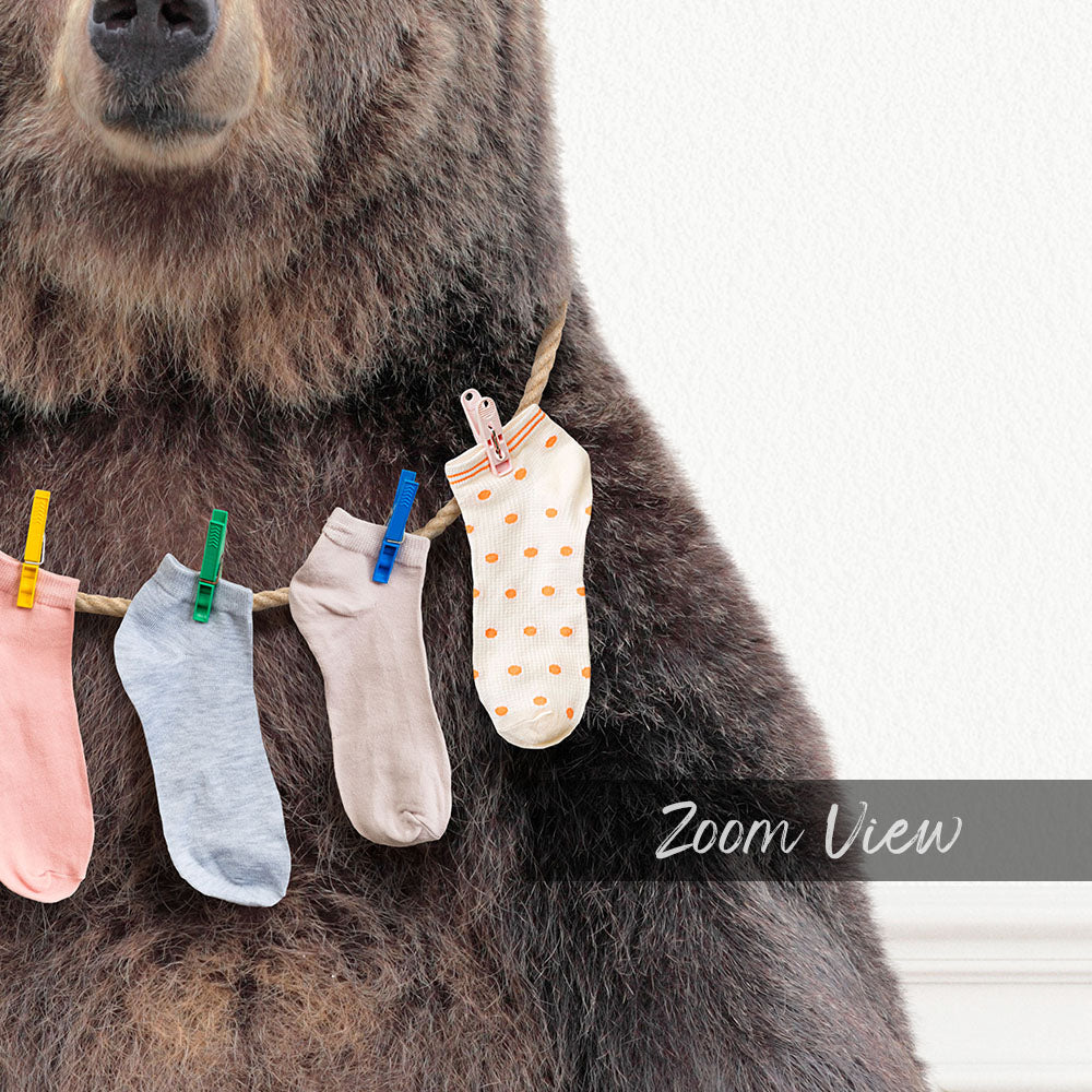 Bear - Lost Socks - Simple White Wall