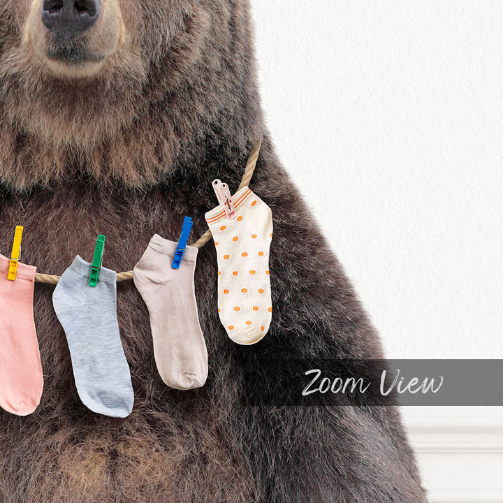 Bear - Lost Socks - Simple White Wall