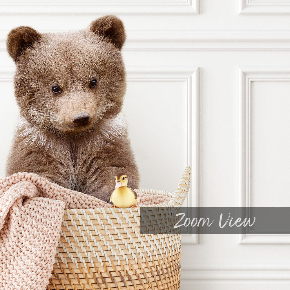 Bear Cub in Laundry Basket - Classic White Floor