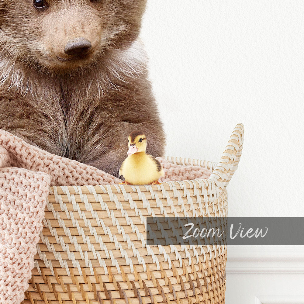 Bear Cub in Laundry Basket - Simple White Wall