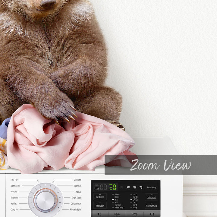 Bear Cub on Laundry Clothes Pile On Washing Machine - Simple White Wall