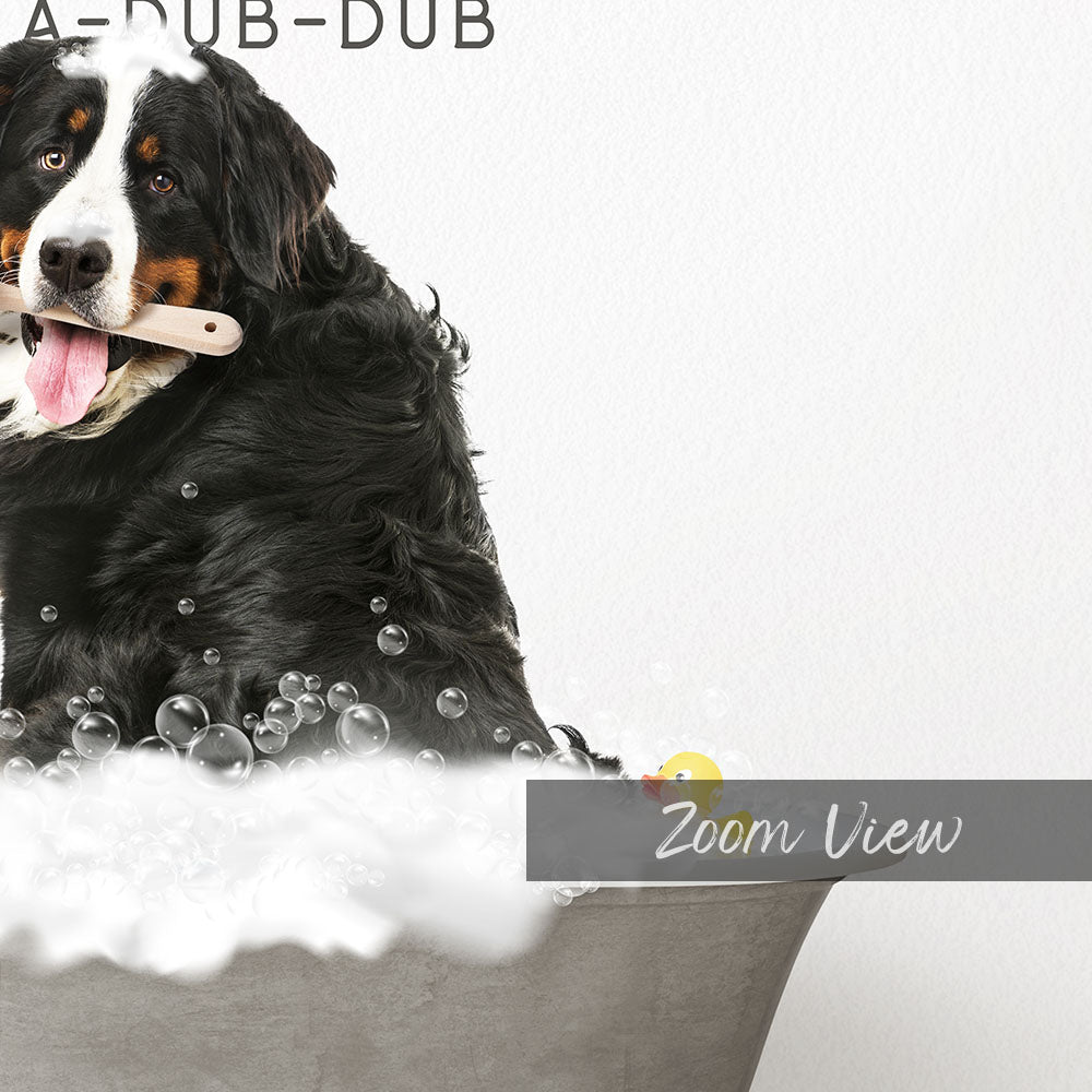Bernese Mountain Dog Scrub A-Dub-Dub in Simple Gray Bath
