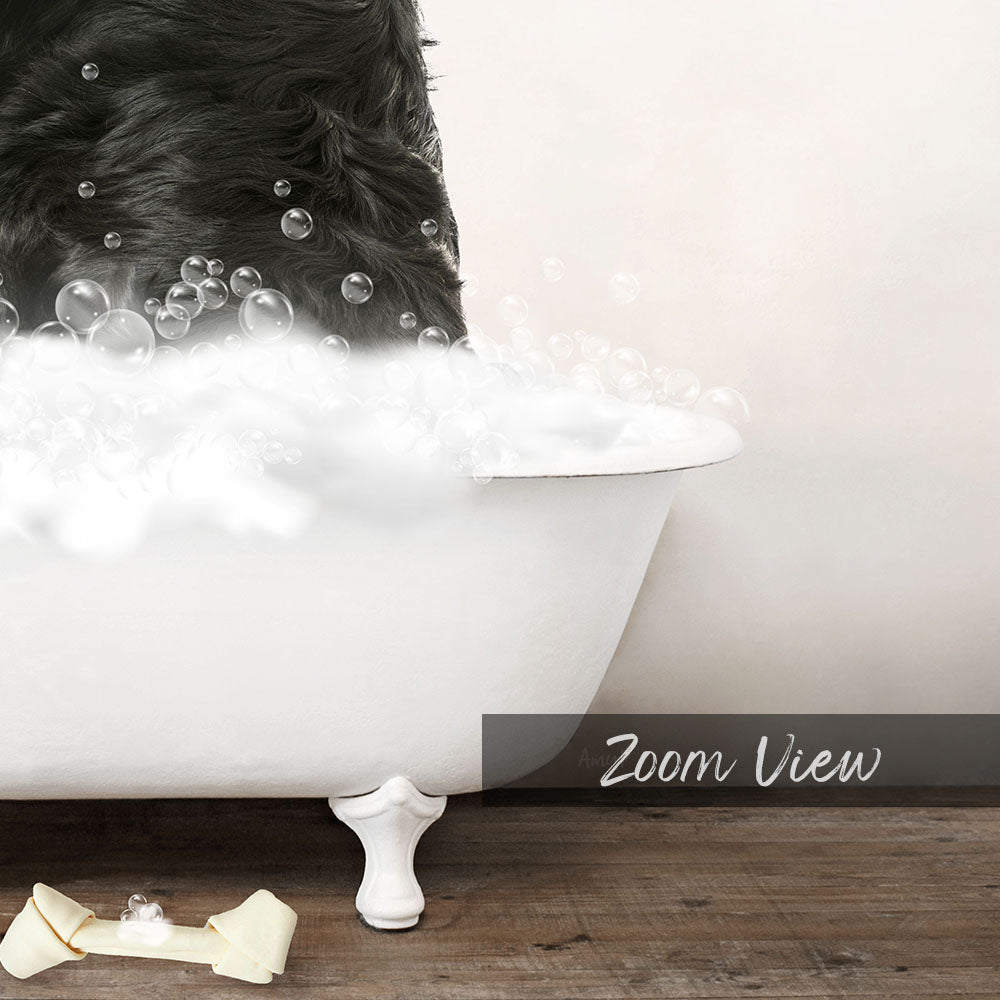 Bernese Mountain Dog in Rustic Bath Style Lots of Foamy Bubbles