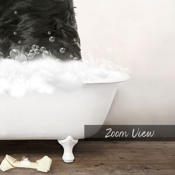 Bernese Mountain Dog in Rustic Bath Style Lots of Foamy Bubbles