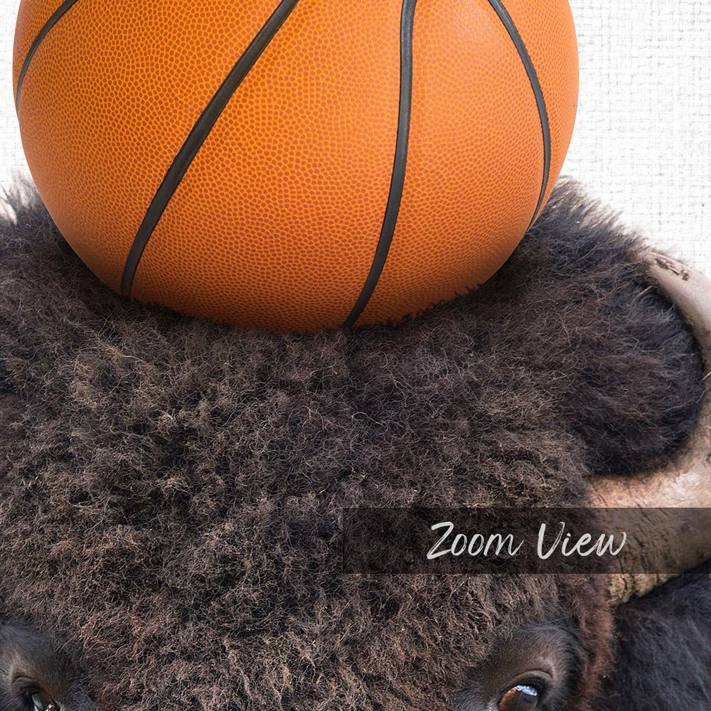 Bison Basketball