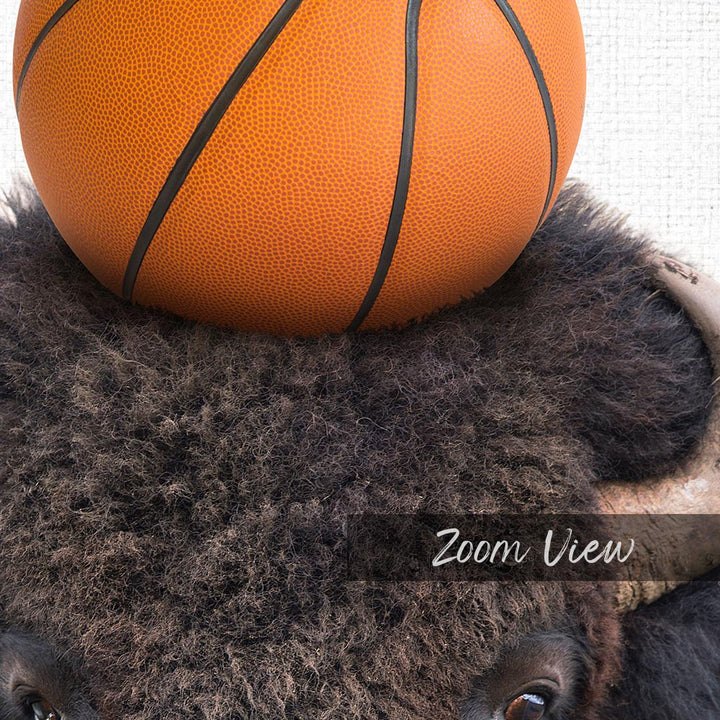 Bison Basketball