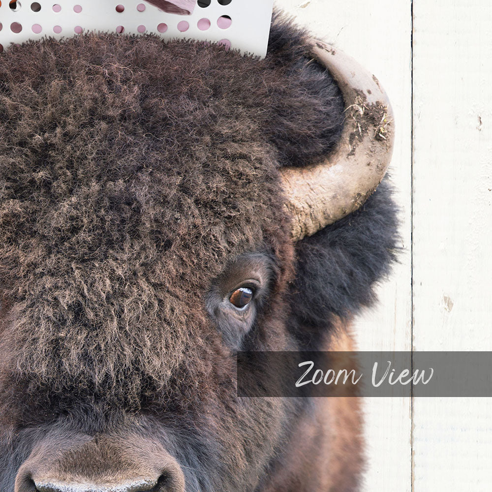 Bison with Laundry Basket - Farmhouse Wall