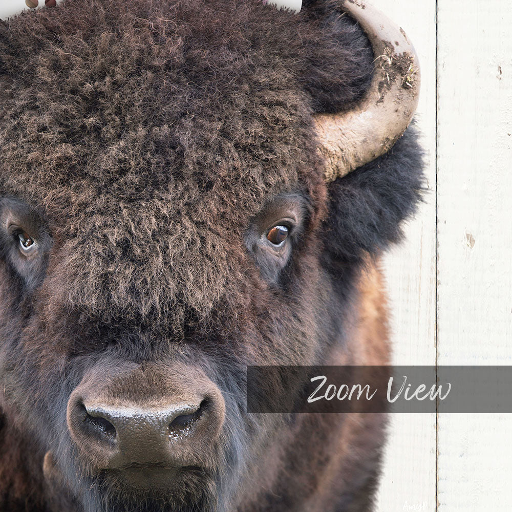 Bison with Laundry Basket - Farmhouse Wall