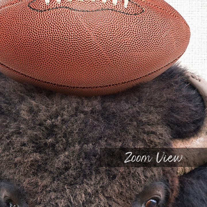 Bison Football