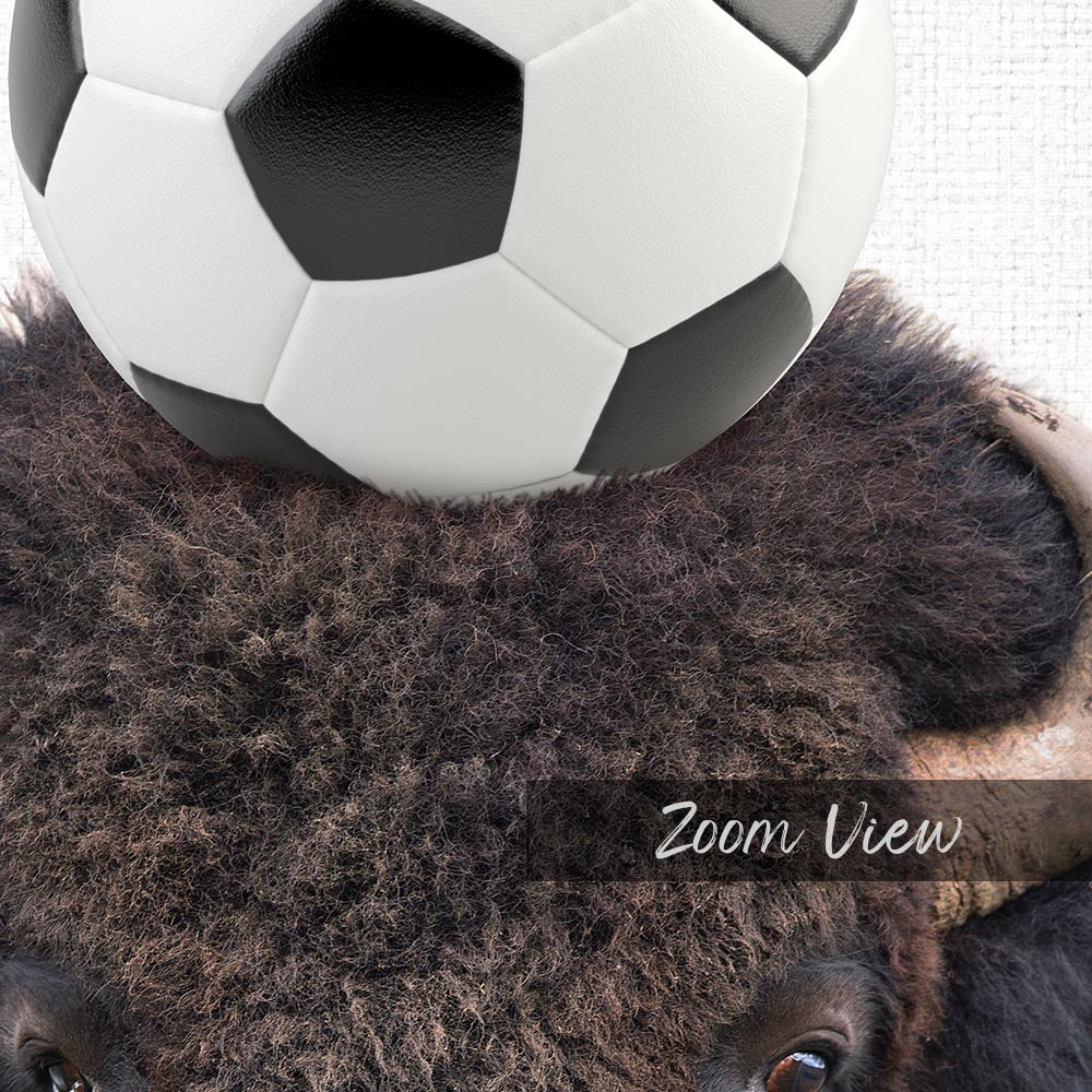 Bison Soccer