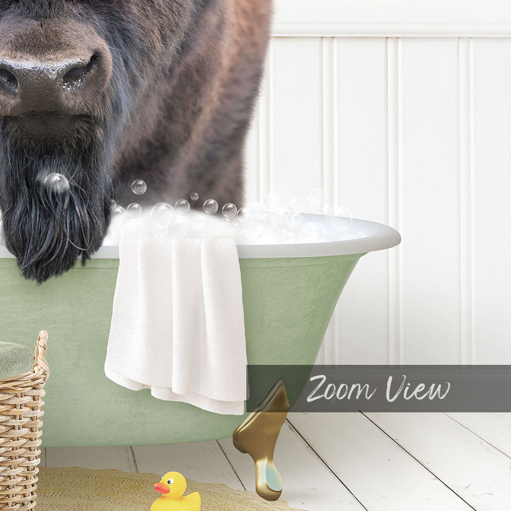 Bison in Cottage Green Bath
