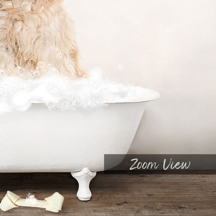 Blonde Labradoodle in Rustic Bath Style Lots of Foamy Bubbles
